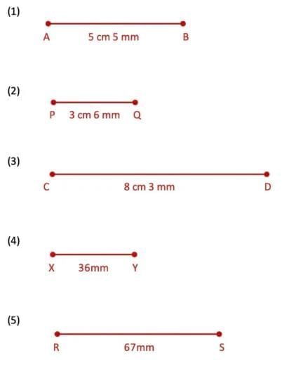 Far and Near NCERT Solutions | Mathematics (Maths Mela) Class 5 - New NCERT