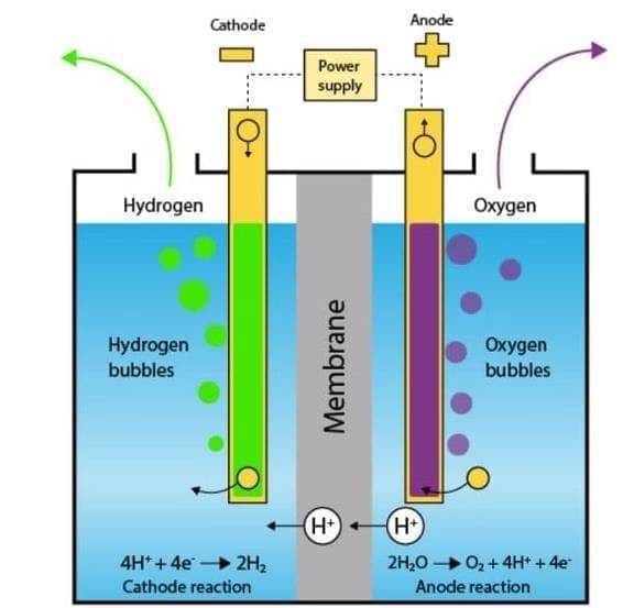 Unit Test: Nature of Matter: Elements, Compounds, and Mixtures | Science Curiosity Class 8 -  New NCERT