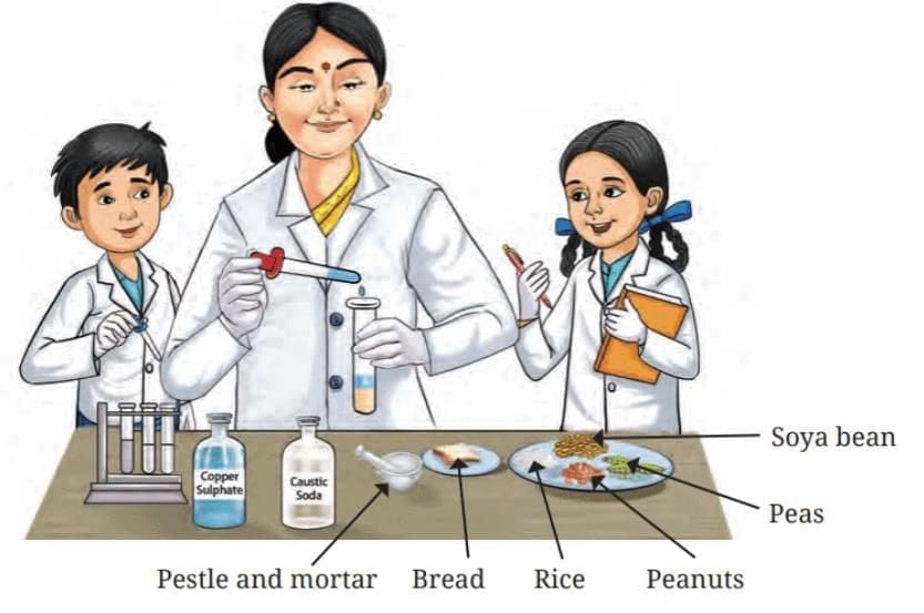 Diagram Based Questions: Mindful Eating: A Path to a Healthy Body | Science for Class 6