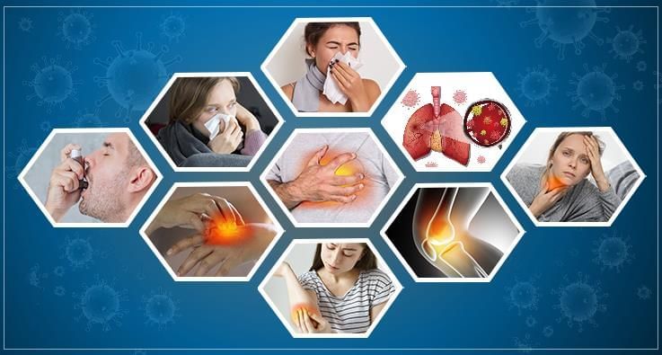 Revision Notes: Health Organisations | Biology Class 10 ICSE