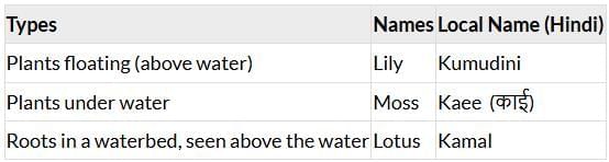 Water—The Essence of Life NCERT Solutions | Our Wondrous World  Class 5 - New NCERT