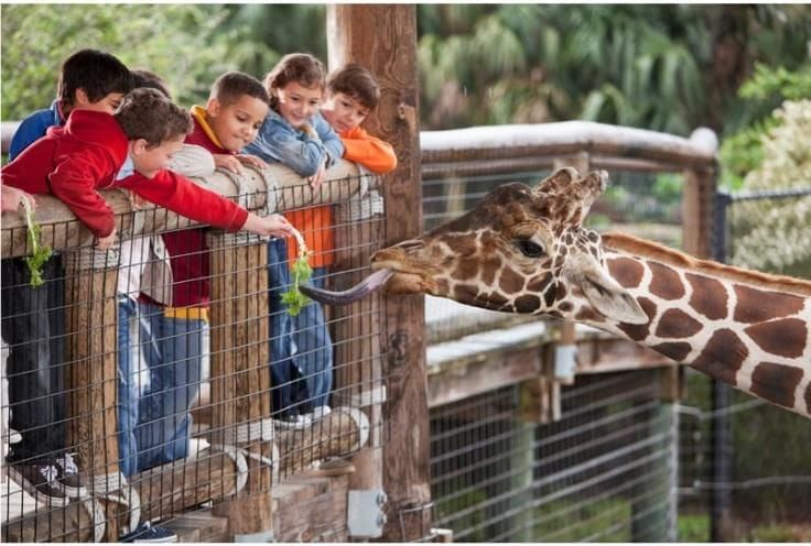 A Visit to the Zoo | Essays for Class 6