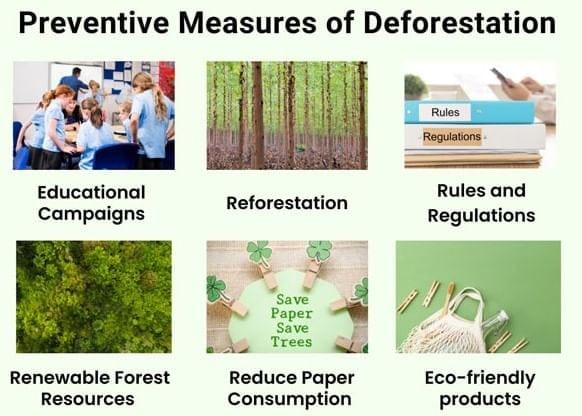 Olympiad Notes: Forest | Science Olympiad Class 6