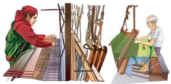 Clothes—How Things are Made Chapter Notes | Our Wondrous World  Class 5 - New NCERT