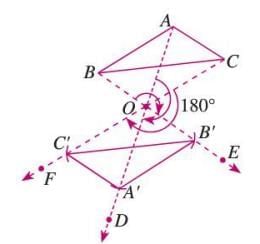 Symmetry, Reflection, and Rotation Chapter Notes | Mathematics Class 7 ICSE