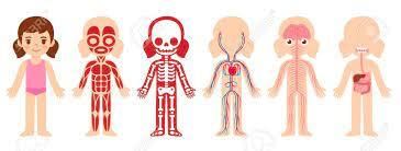 Nervous System - 2 Class 5 Worksheet Science