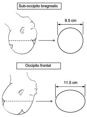 Introduction and definitions