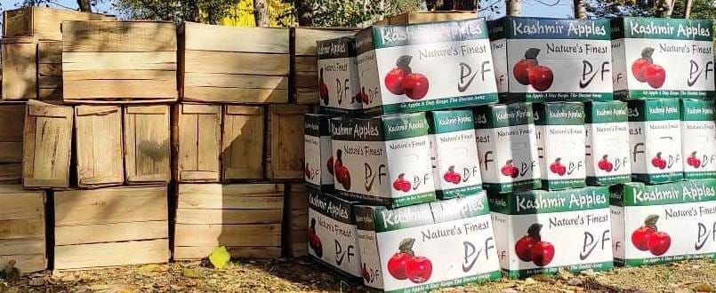 Apple Traders in J&K Are Worried About Recent Trade Deals