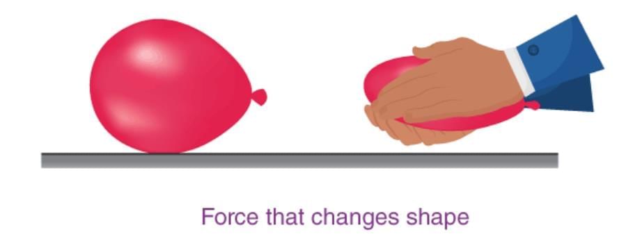 Exploring Forces Chapter Notes | Chapter Notes For Class 8