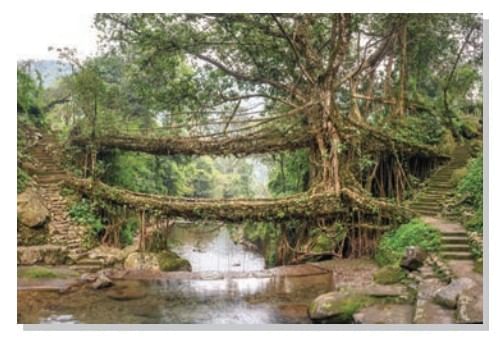 Spectacular Wonders Chapter Notes | Chapter Notes For Class 8