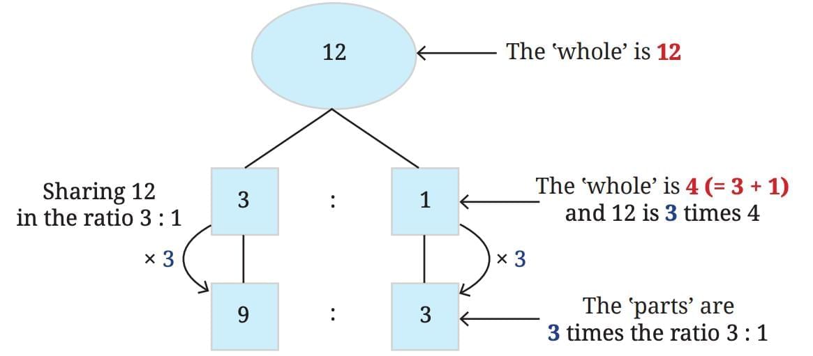 Proportional Reasoning-1 Chapter Notes | Mathematics Class 8- New NCERT (Ganita Prakash)