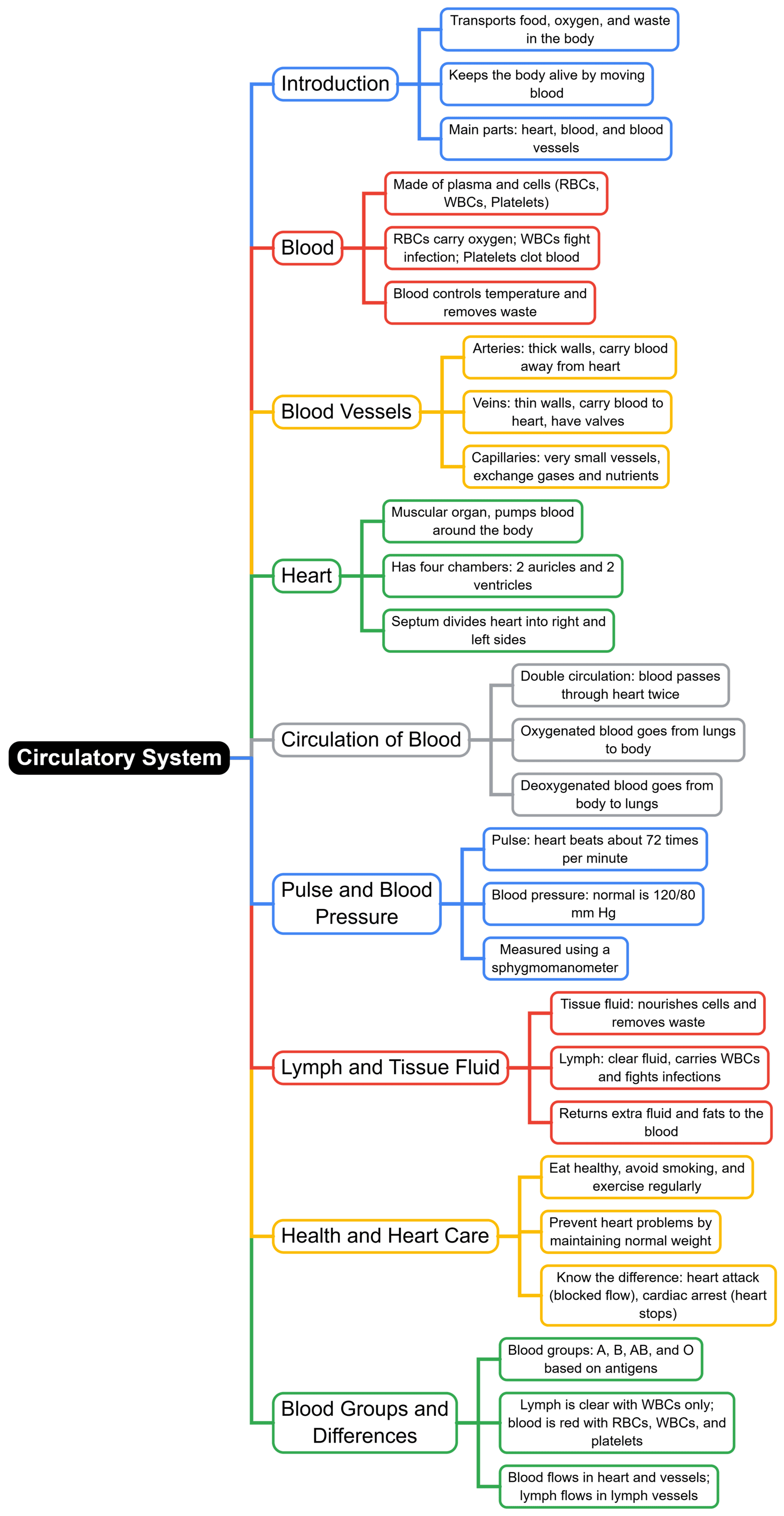Mind Map: Circulatory System | Biology for SSS 2