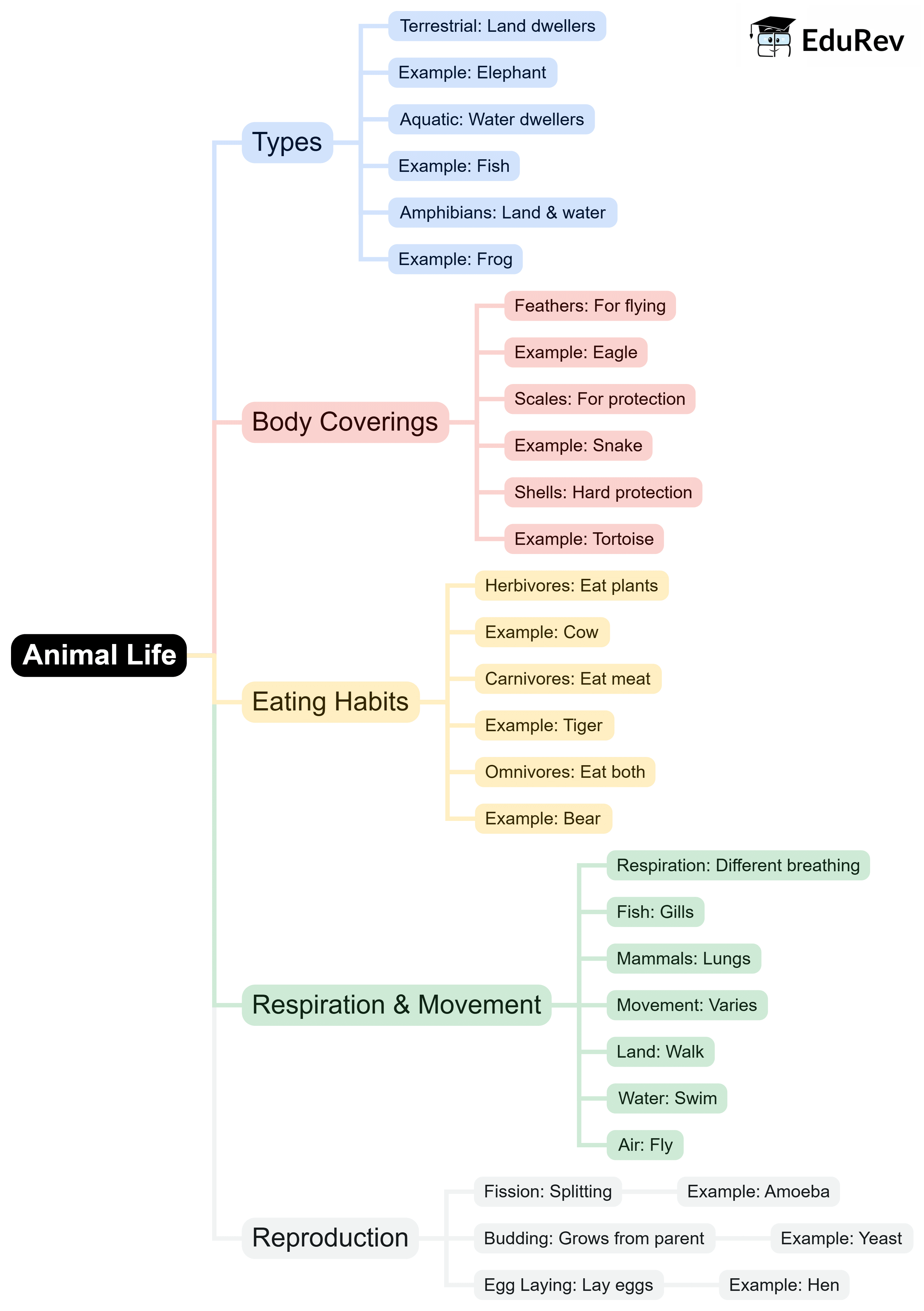Mind Map: Animal Life | Science Class 5