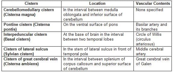 Neuroanatomy - 2 Chapter Notes | Anatomy - NEET PG