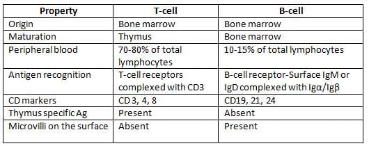 Structure of Immune System and Immune Response Chapter Notes | Microbiology - NEET PG