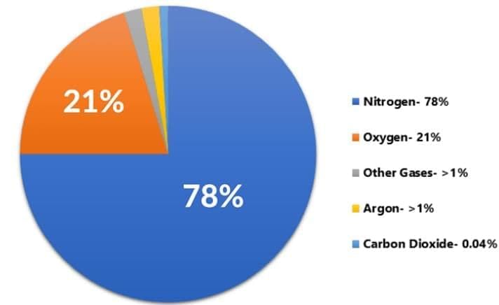 MCQ (Solution) - The Amazing World of Solutes, Solvents, and Solutions | Science Curiosity Class 8 -  New NCERT