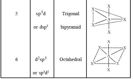 Common Types of Hybridisation
