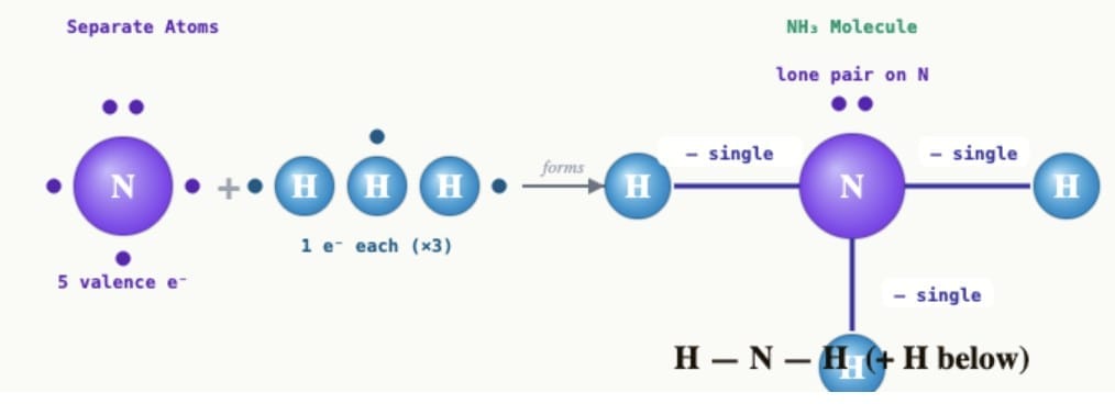 Pause and Ponder (Page 171)