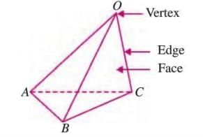 Three-dimensional Shapes Chapter Notes | Mathematics Class 6 ICSE