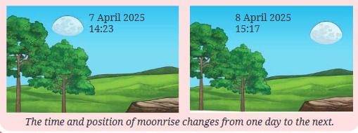 Keeping Time with the Skies Chapter Notes | Chapter Notes For Class 8
