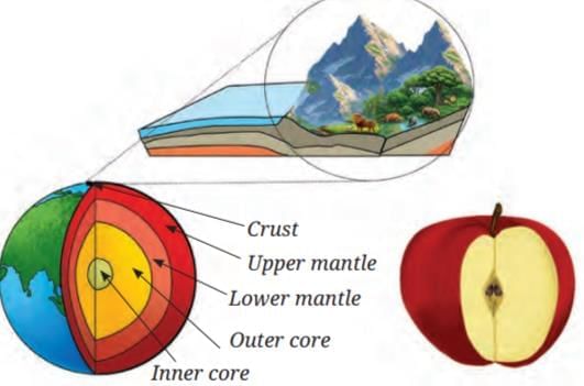 Our Home: Earth, a Unique Life-Sustaining Planet Chapter Notes | Chapter Notes For Class 8