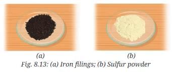 NCERT Based Activity: Nature of Matter: Elements, Compounds, and Mixtures | Science Curiosity Class 8 -  New NCERT