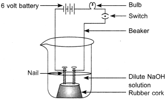 MCQ Questions for Class 10 Science Acids Bases and Salts with Answers 1