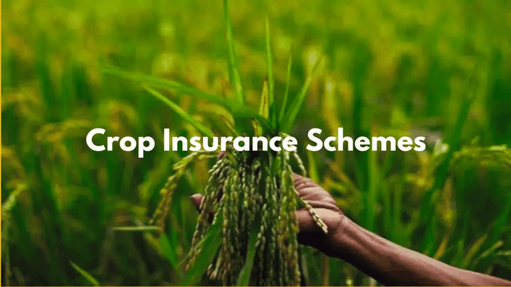 Extension of Crop Insurance Schemes