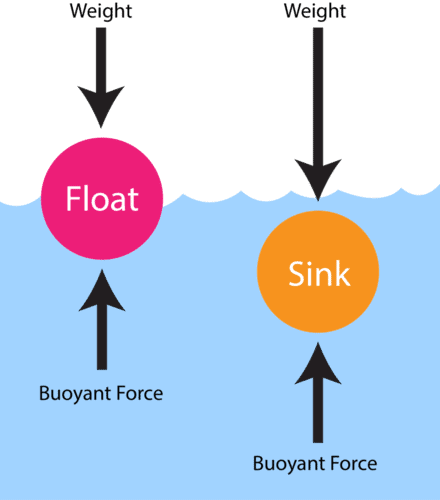 Worksheet Solutions: Exploring Forces | Worksheets with Solutions for Class 8