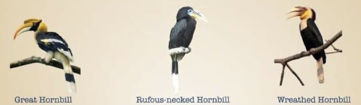 4. The Need for Classification