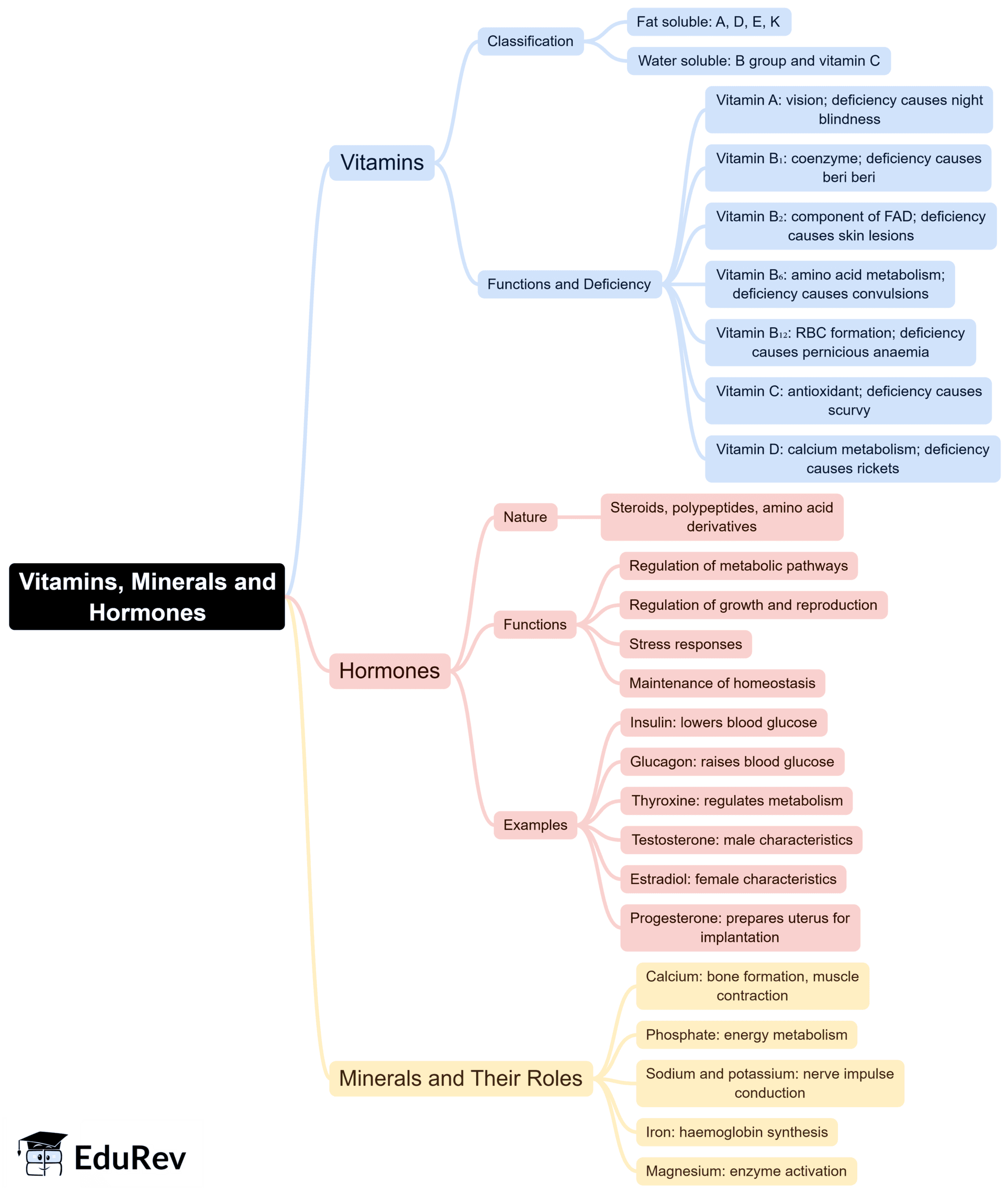 Mind Map: Biomolecules
