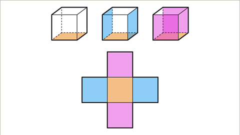 3D Shapes and Nets - Year 7