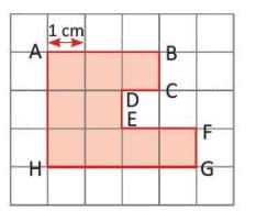 Perimeter and Area Chapter Notes | Year 3 Mathematics IGCSE (Cambridge) - Class 3