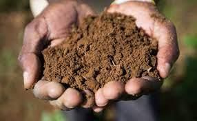 Soils of India - 1 Class 4 Worksheet SST