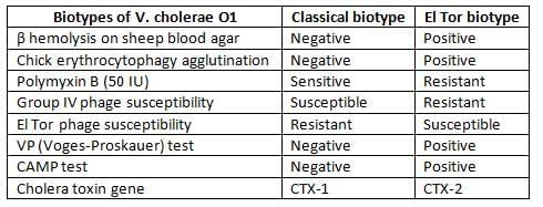 Vibrio Chapter Notes | Microbiology - NEET PG