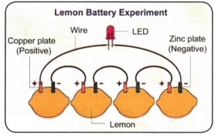 Electricity: Magnetic and Heating Effects NCERT Solutions | Science Class 8