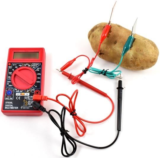 How to Turn a Potato Into a Battery - Year 7 PDF Download