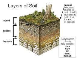 Q1: Fill in the Blanks.