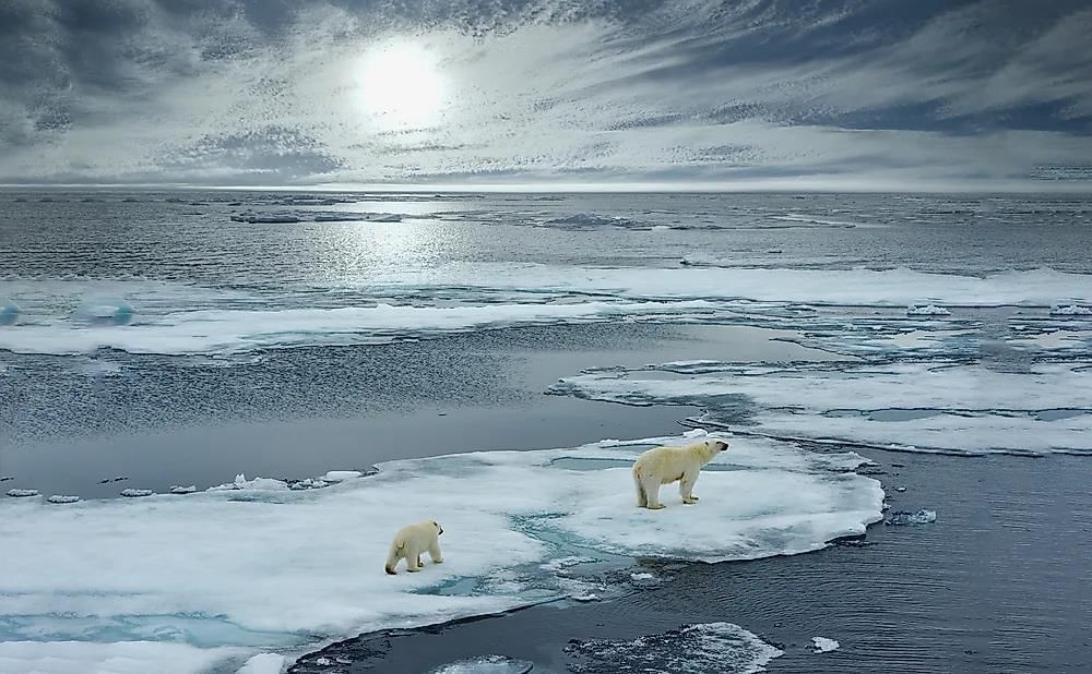 Important Questions: Oceans and Continents | Social Studies for Class 6