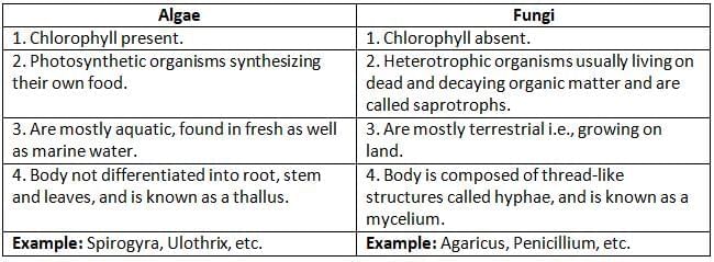 Classification of Plants Chapter Notes | Biology Class 7 ICSE