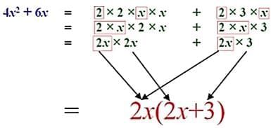 Factorisation of Algebraic expressions Chapter Notes | Mathematics Class 8 (Maharashtra Board)