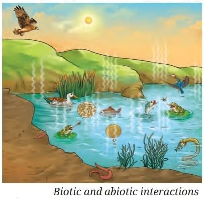 How Nature Works in Harmony Chapter Notes | Chapter Notes For Class 8