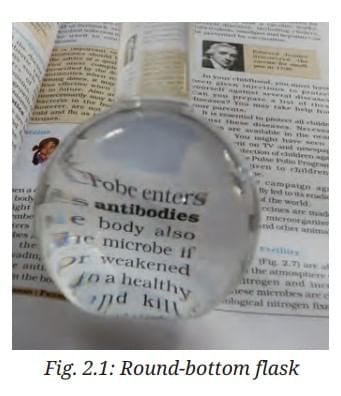 NCERT Based Activity: The Invisible Living World: Beyond Our Naked Eye | Science Curiosity Class 8 -  New NCERT
