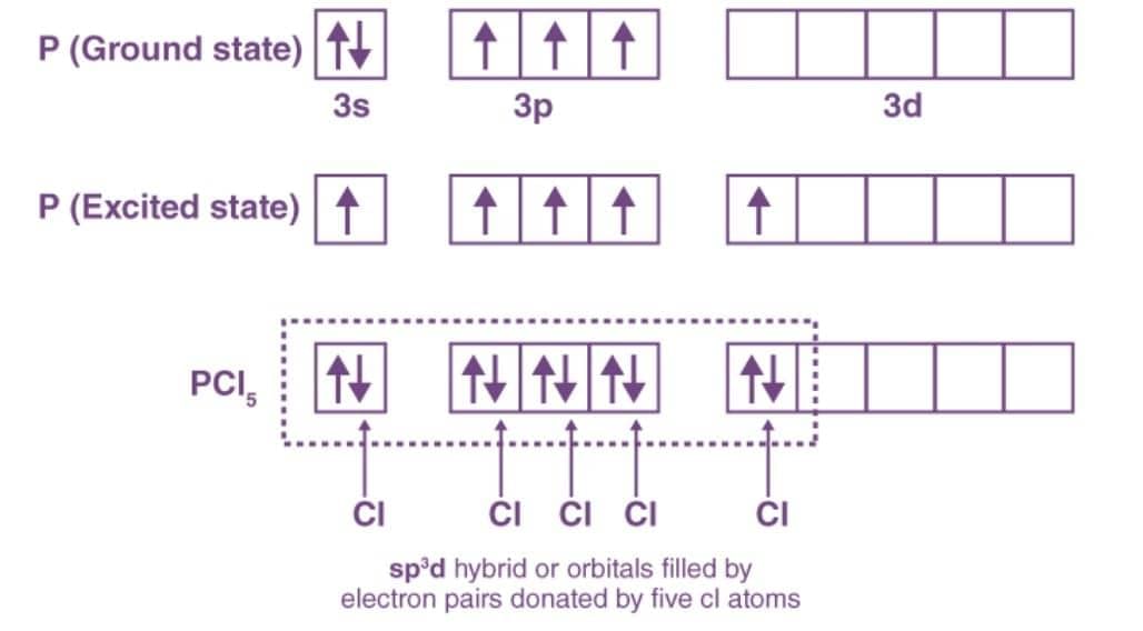 Short & Long Question Answers:: Chemical Bonding and Molecular Structure | Chemistry Class 11 - NEET