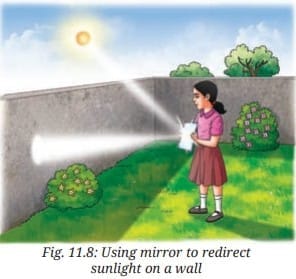 Activity Description