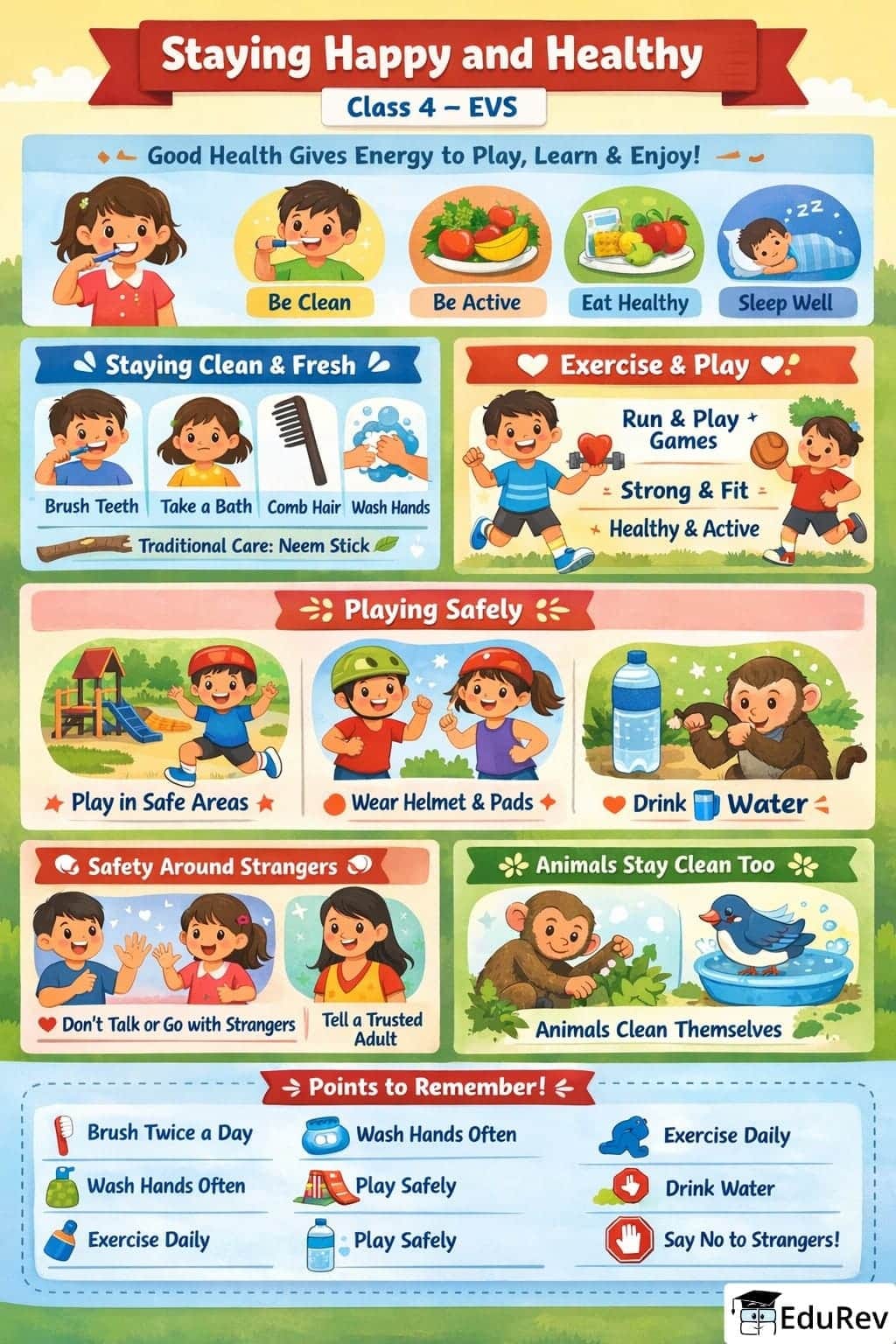 Infographics: Healthy Habits