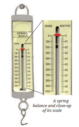 Exploring Forces Chapter Notes | Chapter Notes For Class 8
