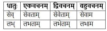 धातुरूपाणि Chapter Notes | Chapter Notes For Class 8