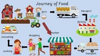 NCERT Summary: Mindful Eating: A Path to a Healthy Body | Science for Class 6