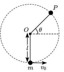 NEET Previous Year Questions (2014-2025): Work, Energy & Power | Physics Class 11